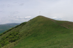 DSC00498