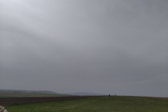IMG_20240331_131610