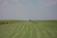 DSCN1272