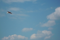 DSCN1280