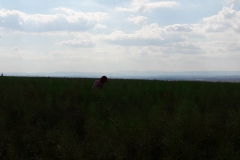 20170618_171536