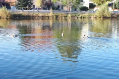 20191013_162336